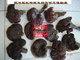 云南野生灵芝(赤芝)80元250g
