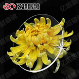亿超1.552树脂学生型近视超薄加硬蓝晶膜防电脑辐射眼镜片正品