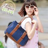 A001M 韩版2010新款可爱D帆布包包S单肩包手提包 女包 6色