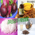 半断食疗法套餐 新鲜有机甜菜根（5KG)+亚麻籽油+鼠尾草