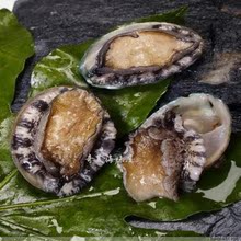 野生即食鲍鱼 鲜活速冻 大个超值   10个头10只包顺丰