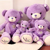 紫色薰衣草小熊毛绒玩具，泰迪抱抱熊大熊公仔布娃娃，生日礼物送女生
