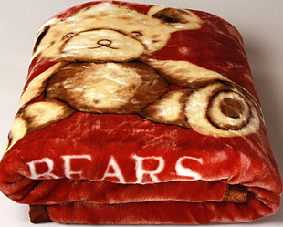 Dream of genuine Series - cute Bill Bear double-layer thicker super soft quality blanket / raschel childrens blankets