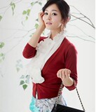 2012春秋装新款女装衬衣韩版修身复古百褶荷叶花边长袖雪纺衫衬衫