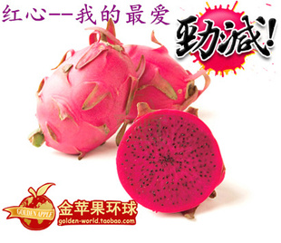  金苹果新鲜水果进口越南红心火龙果 特大有机红肉 广州包邮 1个装