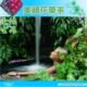 [节后spa排毒清脂花草茶]给肠胃排毒