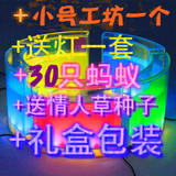 taobao english 10153693018