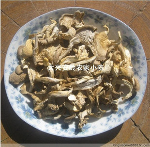  冲冠大兴安岭野生桦树蘑菇  东北野生蘑菇肉鲜味美营养丰富250g