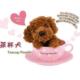 D8011 满155包邮 声控茶杯犬茶杯狗睡觉会打呼呼 0.28