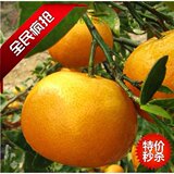 新鲜水果 柑橘 茂谷柑 皮薄水分多 清甜爽口 5斤装 江浙沪包邮 孩子满月 普天同庆