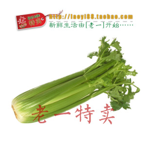  老一特卖 新鲜西芹 有机新鲜绿色蔬菜 请2斤起拍 2.90元500克