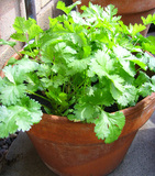 期已更新 - 植发手术_江西植发医院_<em>南昌</em>毛发移