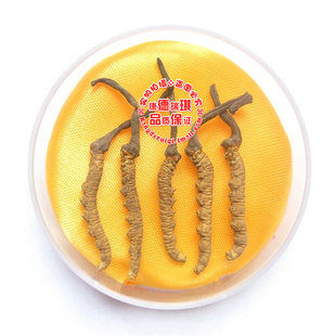  精选特级西藏那曲冬虫夏草 5条/克 同仁堂标准虫草 年新货