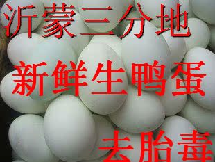  山东沂蒙山纯正农家散养新鲜鸭蛋/生鸭蛋/草鸭蛋非腌制去胎毒一个