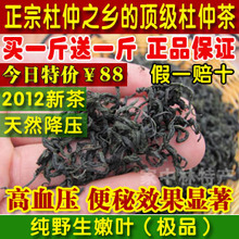 新茶 张家界纯野生极品嫩叶杜仲茶 正品降压茶 降三高 茶叶 包邮