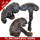 taobao english 13095975963