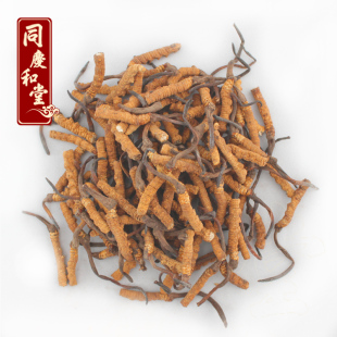  同庆和堂 正品 青海玉树 冬虫夏草断草 同仁堂级别 新草特价包邮