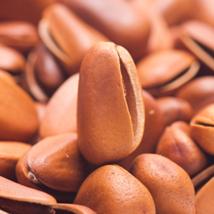  ★东北野生松子★开口红松子★500克 【松香味正易剥饱满】