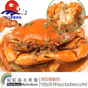  三门青蟹特价包邮 大红膏蟹每只5-8两 2斤装 鲜活水产品 死蟹包退