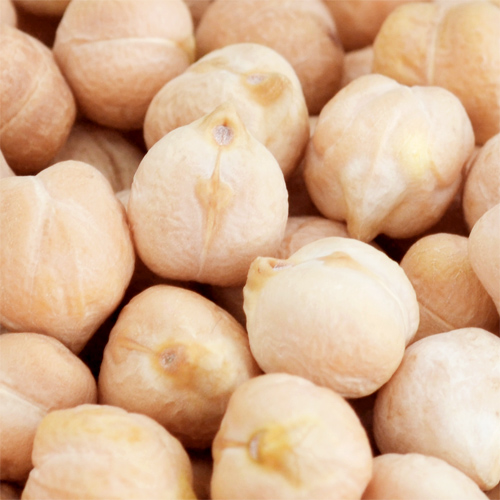 Xinjiang specialty Chickpea Non-GM Property Pure natural 500gin the Agri rice/Dried foods/Condiment , Meter/Flour/Grains , Beans , Other category - from Buy2taobao.com to provide professional Taobao agent buy service