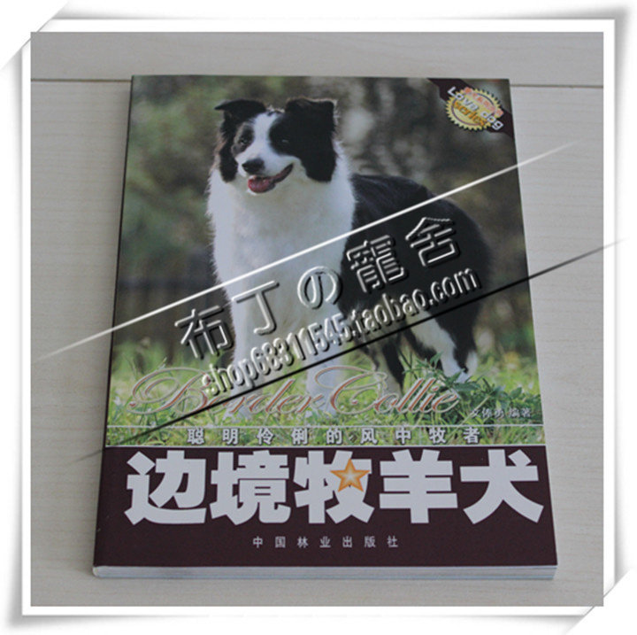 Border Collie dog books dog training books dog training books dog training dog supplies dog training materials