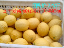 极度秒杀 新鲜黄柠檬 安岳 水果 折扣 美白瘦身必备 产地直销