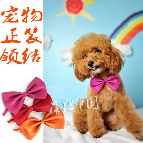 狗狗領結蝴蝶領結 寵物領結 紳士系列 可調節 狗貓咪領結 小型犬在類目 寵物/寵物食品及用品, 寵物服飾及配件, 掛飾/掛牌中 - 來自Buy2taobao.com提供專業的淘寶代購服務