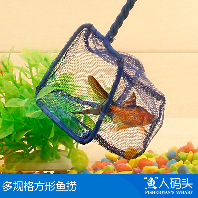 Ornamental fish goldfish senior Fishnet 3 inch 4 inch 6 inch 8 inch 10 inch 12 Inch fish fishing Hand dip net Metal framein the Pet/Pet food and supplies , Aqua World , Aquarium fish tanks and other equipment , Other aquarium equipment equipment category - from Buy2taobao.com to provide professional Taobao agent buy service