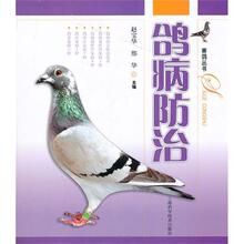 �벡����[����ͼ���]����
