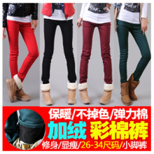 2011冬款加绒修身弹力显瘦小脚裤铅笔裤女彩色大码牛仔裤女长裤