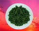 五季茗茶黄金桂 乌龙茶