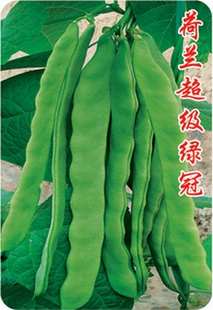 台灣引進芸豆新品種 荷蘭超級綠冠——豆類種子 200g原裝R在類目 農用物資, 種子/種苗, 蔬菜種子中 - 來自Buy2taobao.com提供專業的淘寶代購服務