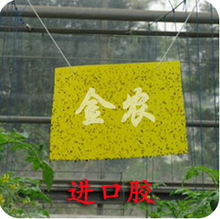进口胶粘虫黄板/粘虫板/黄板/杀虫板/诱虫板 配悬挂铁丝