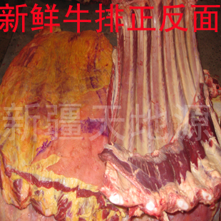  新鲜牛排骨肉/肋骨 新疆特产有机生态牛肉 牛排牛扒土鸡 包邮促销