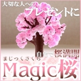 taobao english 14358521051