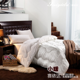 [天猫新风尚]赛依达家纺 蕾丝柔棉冬被芯 特价清仓加厚被子●小暖