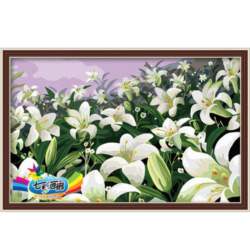���涷�������ͻ�50x80