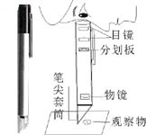 Special Offer 50 Pen Graduation magnifier Ordinary invoicesin the Electronic Dictionary/Electronic paper book/Stationery , Drawing measurement products , Magnifier category - from Buy2taobao.com to provide professional Taobao agent buy service
