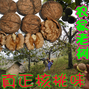  农家自产山核桃 新货 太阳晒干 核桃 山核桃  农产品不完美