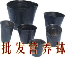 【绿森】营养袋 营养杯 育苗盆 代替花盆 营养钵0.016元一个批发