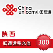 陕西联通300元
