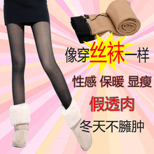 特价!假透肉 双层加厚 九分裤袜子/踩脚打底裤/拉绒美腿保暖裤 冬