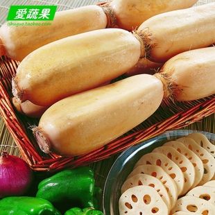  【爱蔬果】绿色食品新鲜蔬菜 莲藕 北京配送