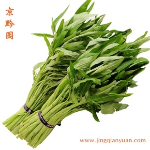  【京黔园】绿色食品新鲜蔬菜 空心菜 蕹菜 北京买菜当天送到家