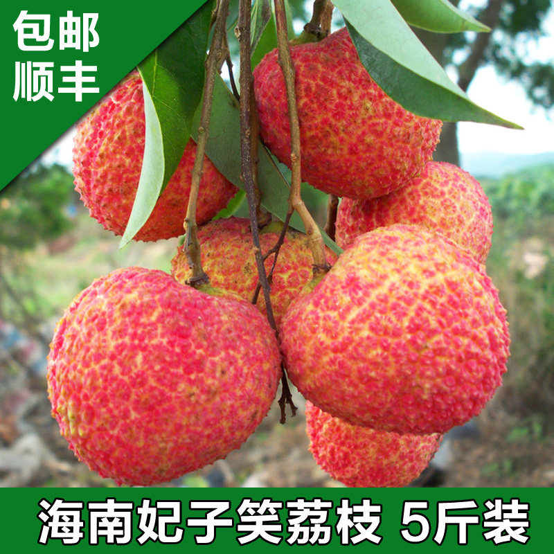 海南精品无核荔枝 鸳鸯红 5斤送3斤 拍下预计6月10日发货 包顺丰