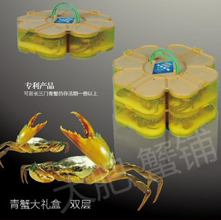 海鲜三门青蟹大礼盒 鲜活水产 海蟹螃蟹 马甲扣裸蟹包装 8只4斤