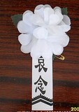 taobao english 12710859938
