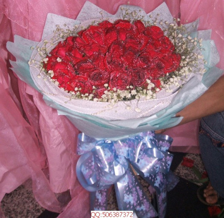 66支红玫瑰 邵阳县隆回县洞口县绥宁县新宁县