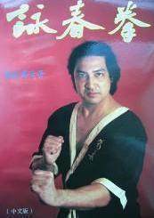 梁挺,<em>咏春</em>拳,上下册,价格,70.003075,张永红 《