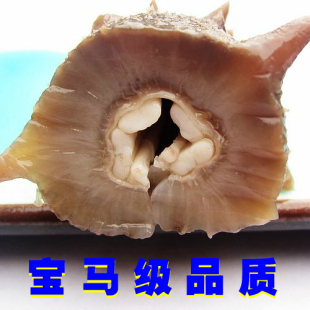  大连海参獐子岛极品海参淡干野生海参干货　批发刺参6－8年无添加